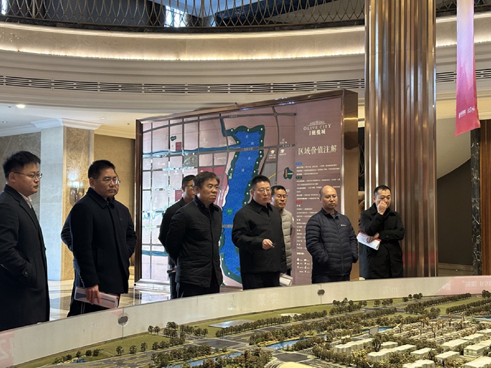 黨委書記、董事長汪洋調研開封項目并指導經營發展工作